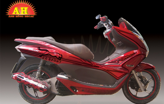 Tem Xe PCX 015