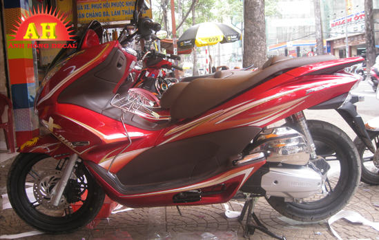 Tem Xe PCX 018