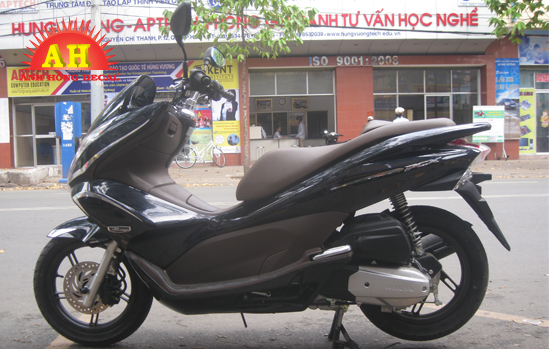 Tem Xe PCX 020