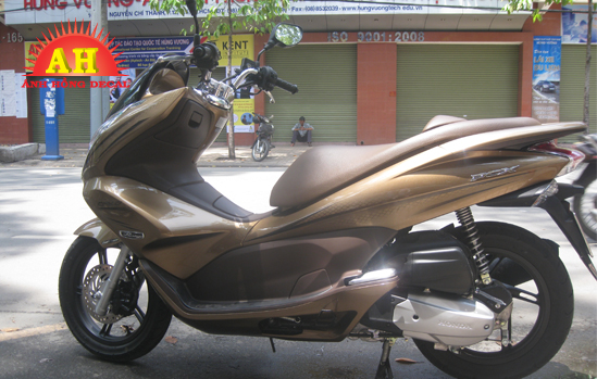 Tem Xe PCX 021